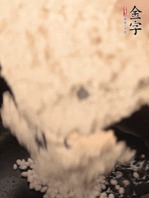 浸泡半天的糯米電飯鍋煮熟。