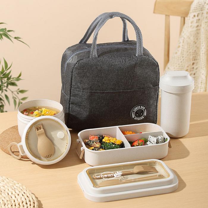 簡(jiǎn)麥便當(dāng)盒HC6923M/套